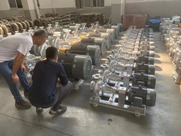 WRY系列熱油(yóu)泵